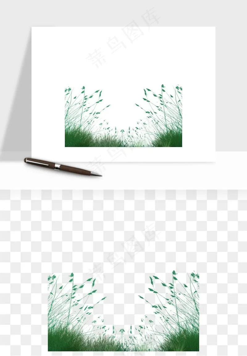 植物芦苇蒲苇香蒲png免抠