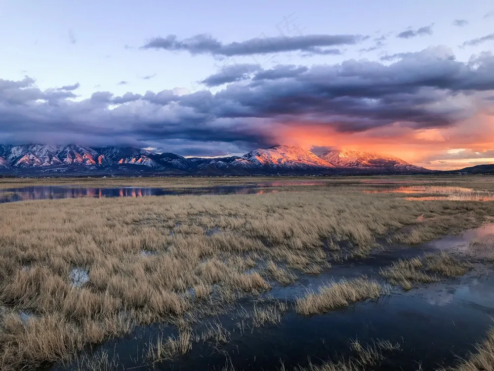 荒野余晖下的宁静之美