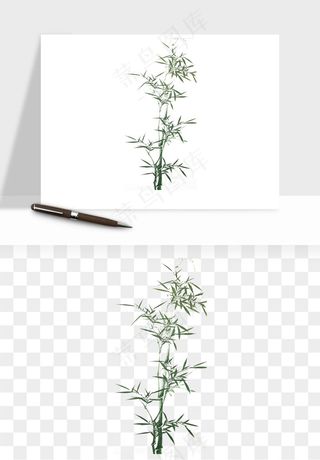 手绘竹子竹叶png免抠