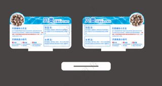 贝类吐沙小技巧图片