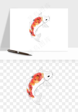锦鲤鱼手绘水墨png免抠