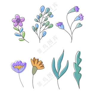 各种颜色种类的花朵 (3)