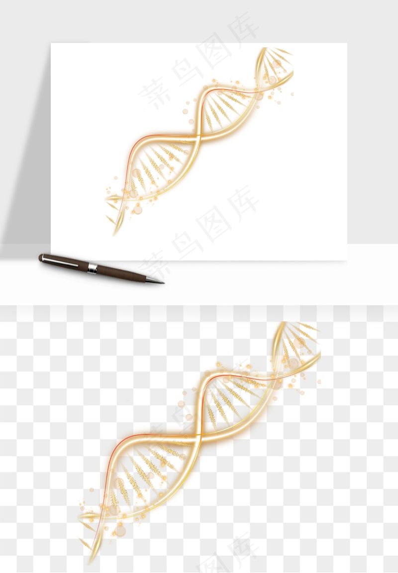 细胞水分子DNA精华成分png免抠