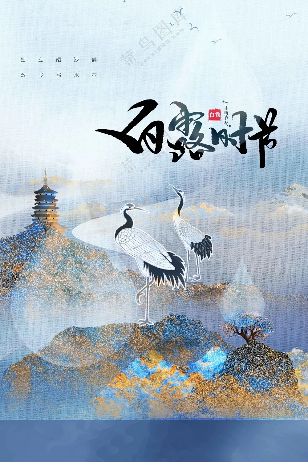 白露节气传统活动海报