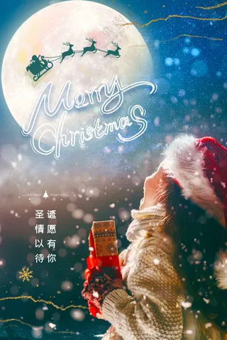 圣诞节节日活动宣传海报素材