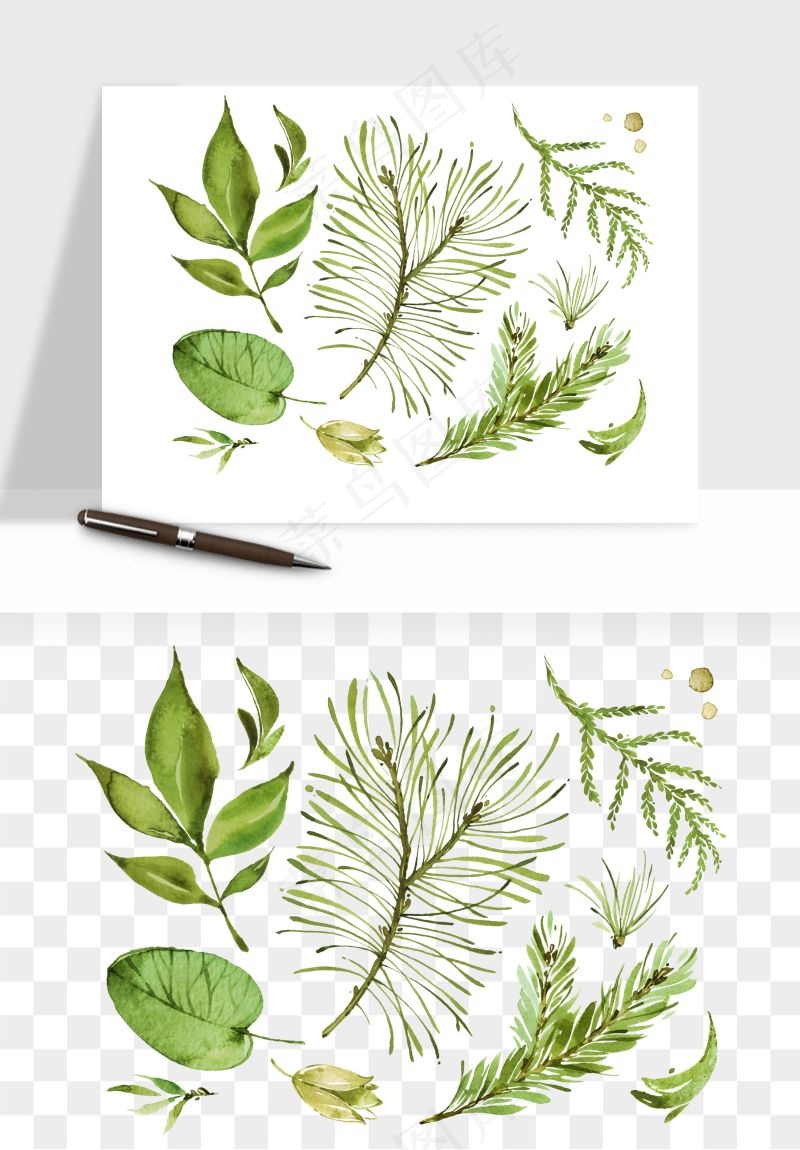 清新手绘植物png免抠