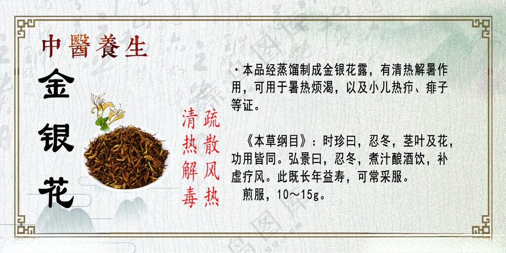 金银花中药养生茶文化海报
