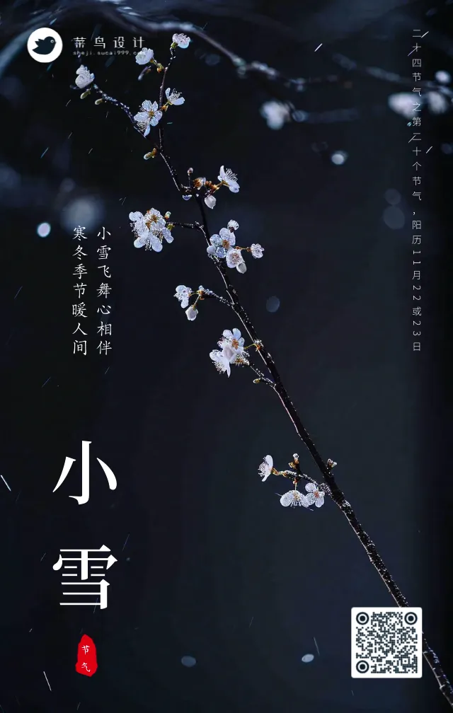小雪手机海报