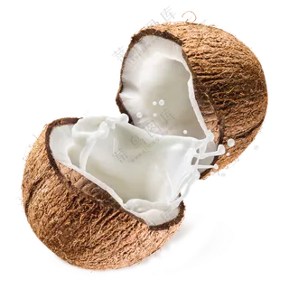 椰子免抠图片素材