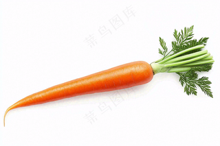 胡萝卜蔬菜摄影图