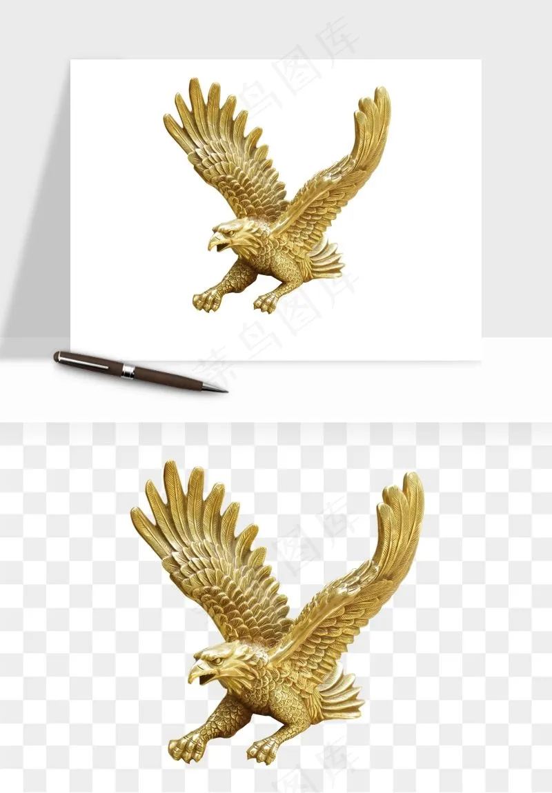老鹰雄鹰展翅png免抠