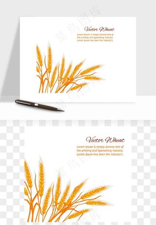 手绘麦穗稻穗麦秆矢量png免抠