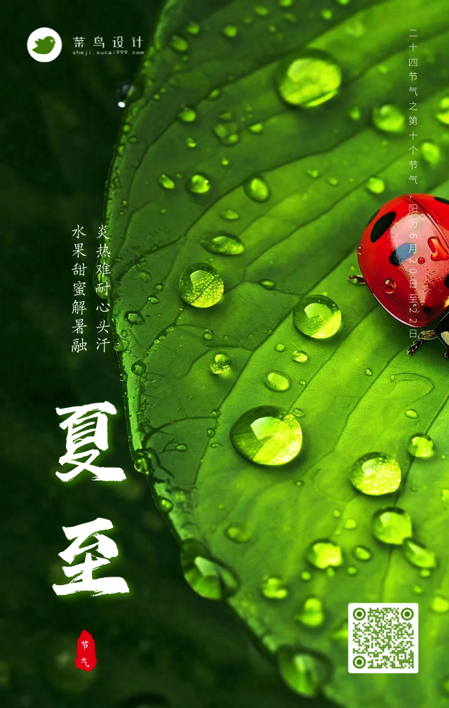 夏至手机海报