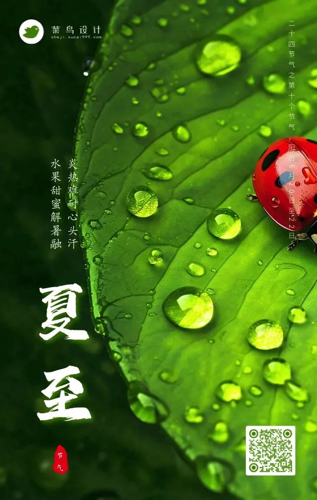 夏至手机海报