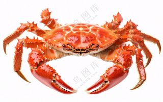 螃蟹海鲜免抠