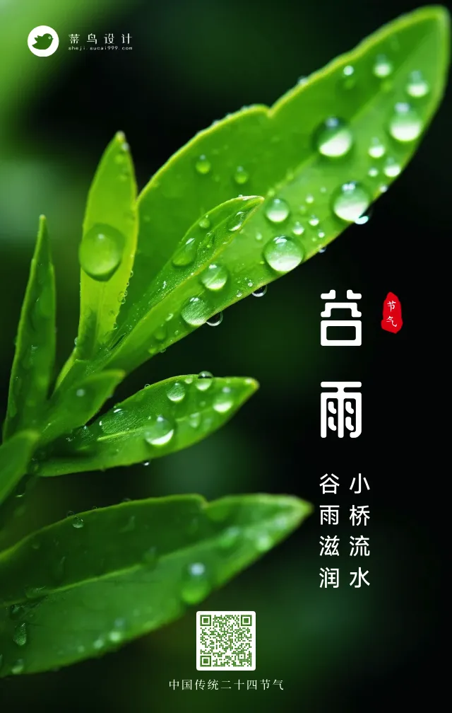 谷雨手机海报