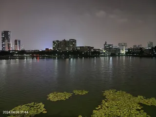 灯火下的小河浮草