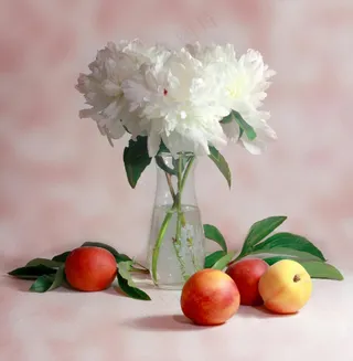 粉红映白 硕果满枝