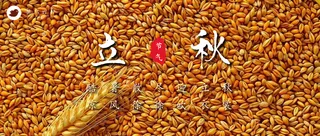 立秋公众号首图