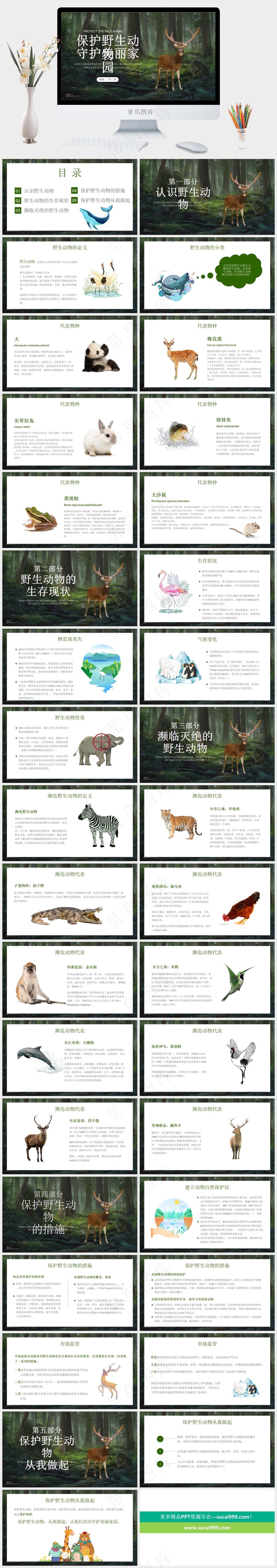 保护野生动物绿色环保PPT