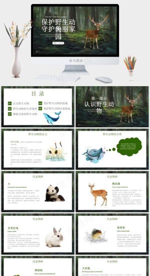 保护野生动物绿色环保PPT预览图