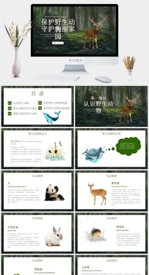 保护野生动物绿色环保PPT预览图