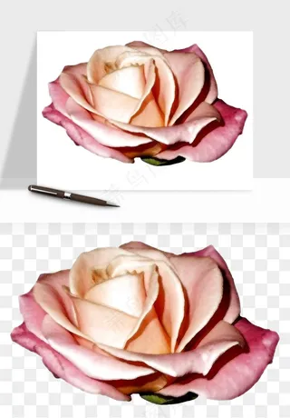 复古鲜花玫瑰png免抠