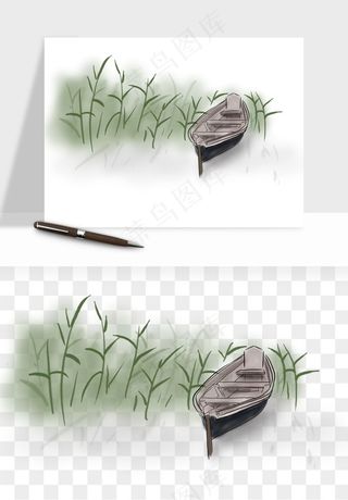 植物芦苇蒲苇香蒲png免抠