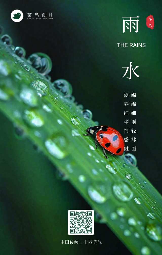 雨水手机海报