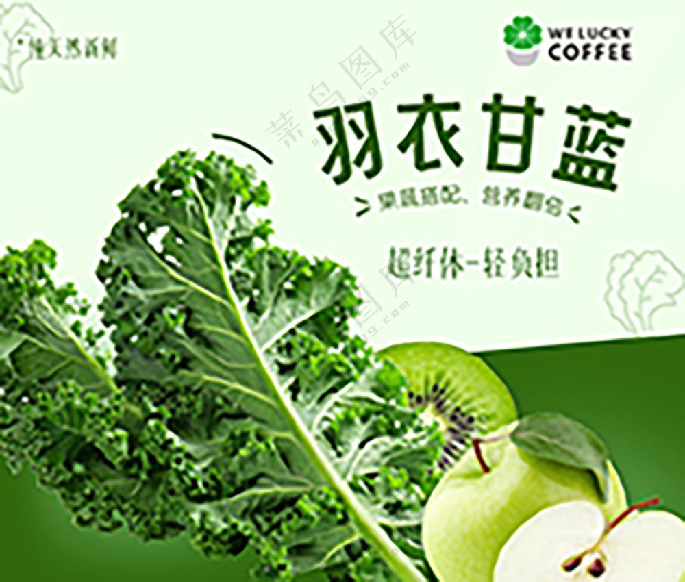 羽衣甘蓝（果蔬）