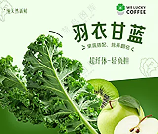 羽衣甘蓝（果蔬）