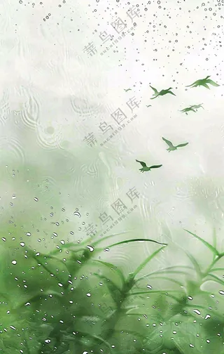 白露节气