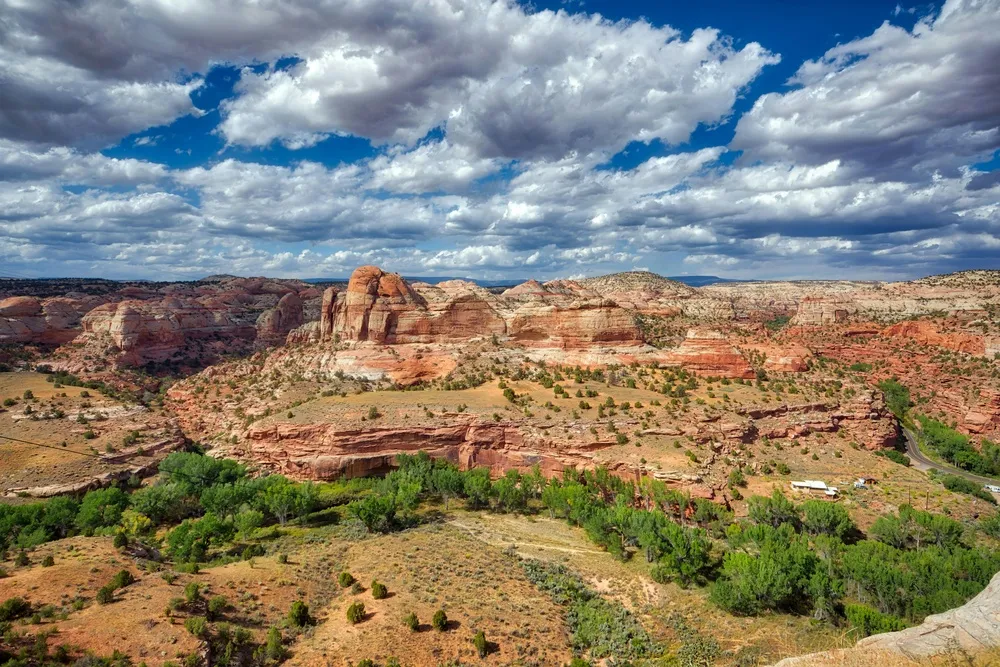 荒漠绿意：宽幅自然风光摄影