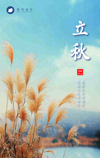 立秋手机海报