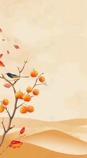 秋冬柿子树上的小鸟黄色插画霜降背景