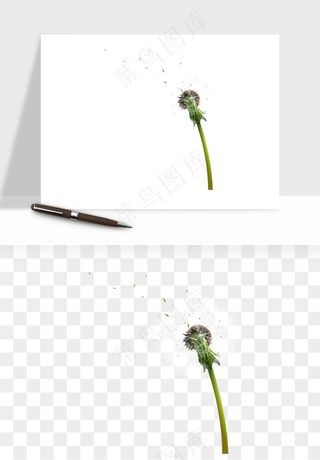 唯美蒲公英种子png免抠