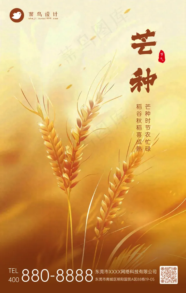 芒种手机海报