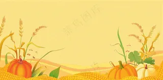 世界粮食日稻谷麦穗秋收卡通插画芒种秋分背景