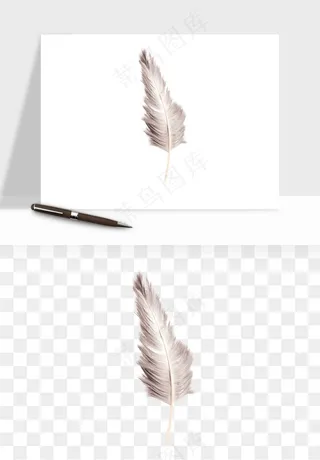 白羽毛漂浮彩色羽毛png免抠