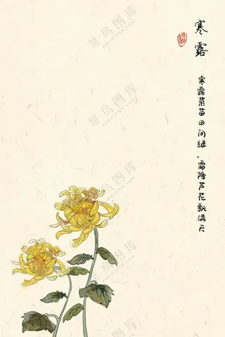 二十四节气 寒露