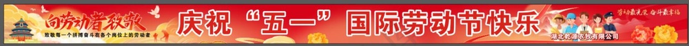 51五一劳动节横幅红色横幅展板
