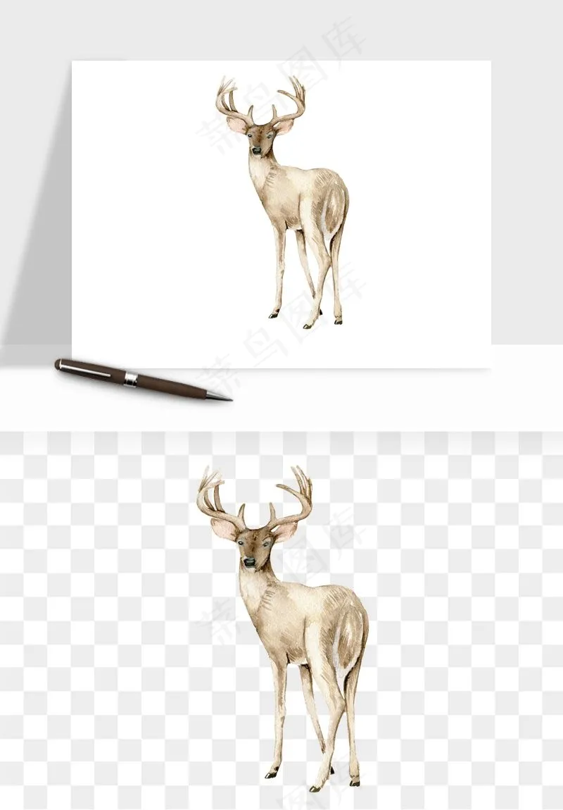 手绘梅花鹿小鹿麋鹿png免抠