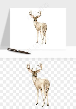 手绘梅花鹿小鹿麋鹿png免抠