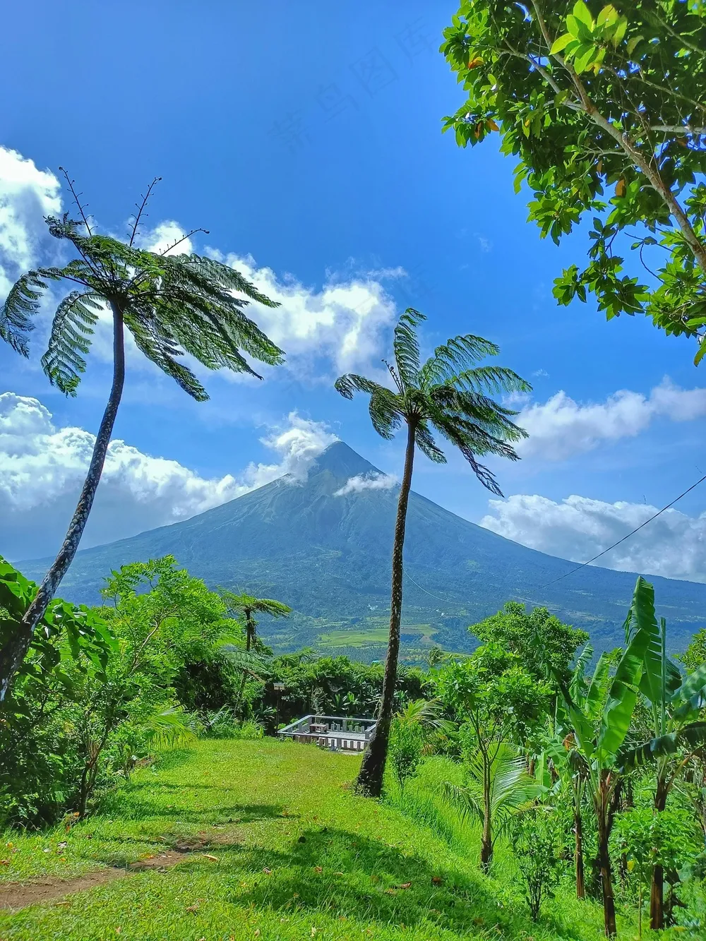 翠绿的山谷，阳光下的宁静天堂