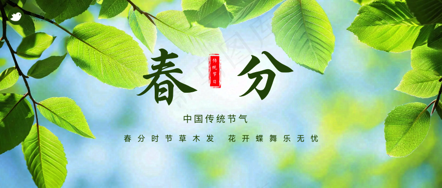 春分公众号首图