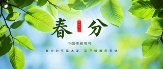 春分公众号首图