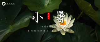 小暑公众号首图