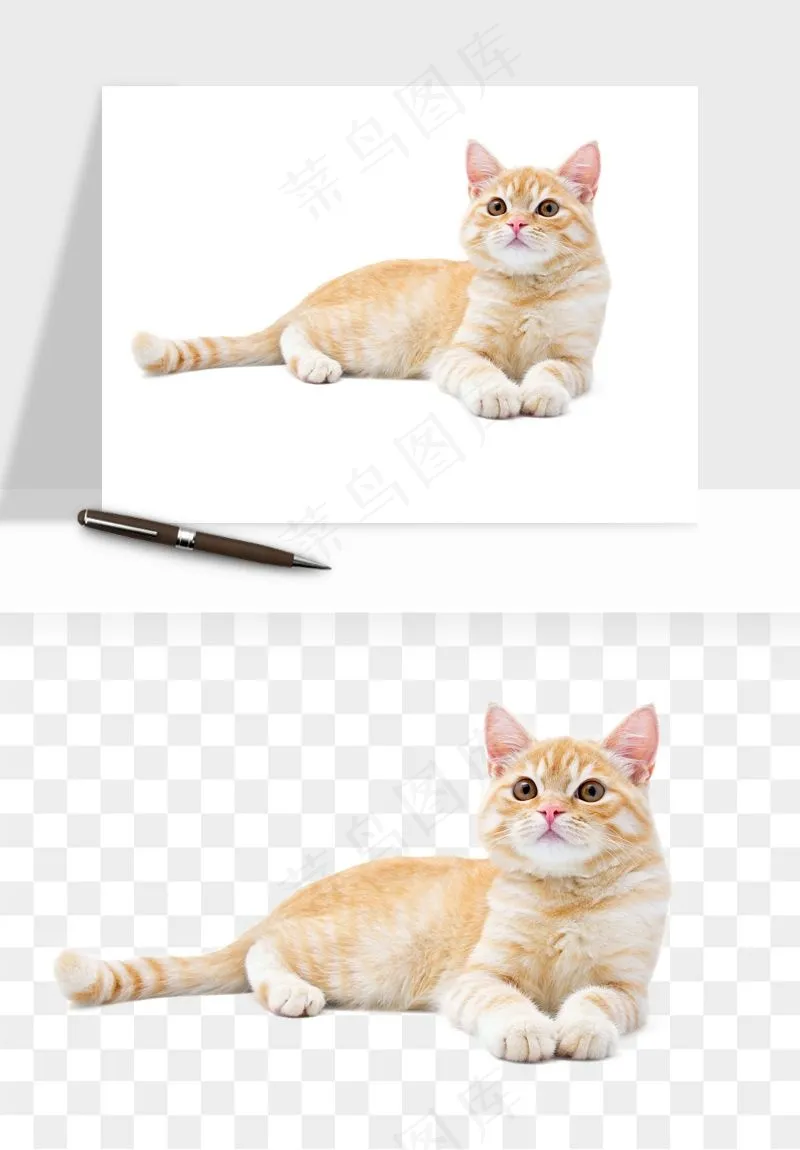 猫咪喵星人狗狗宠物元素png免抠