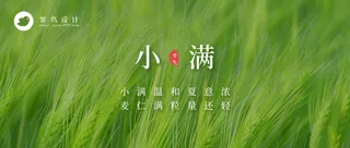 小满公众号首图