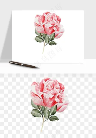 水彩复古花卉png免抠